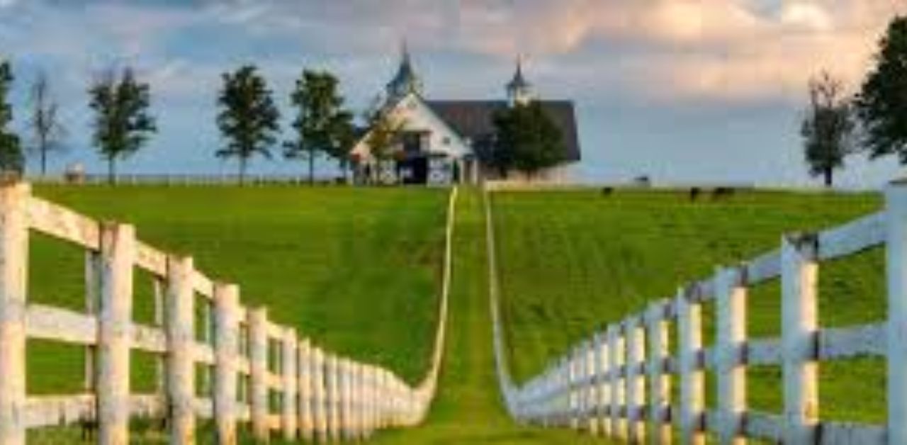Lexington